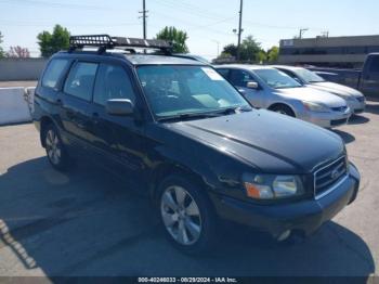  Salvage Subaru Forester