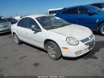  Salvage Dodge Neon