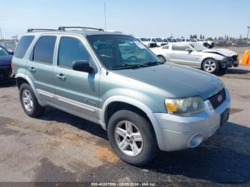  Salvage Ford Escape