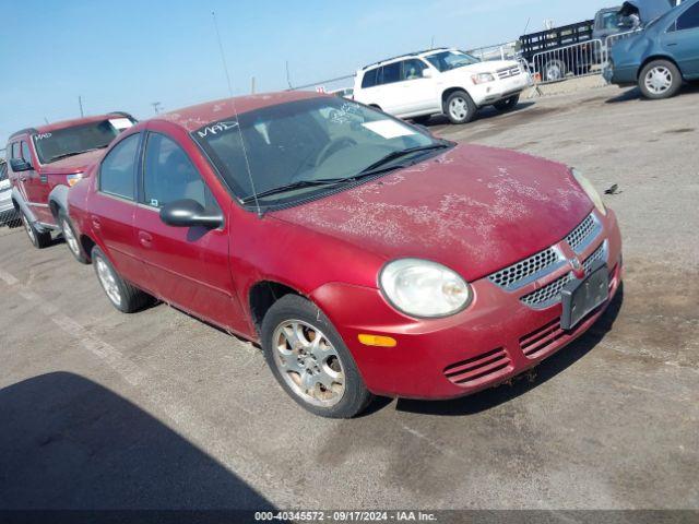  Salvage Dodge Neon