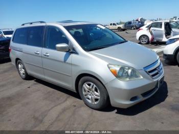  Salvage Honda Odyssey