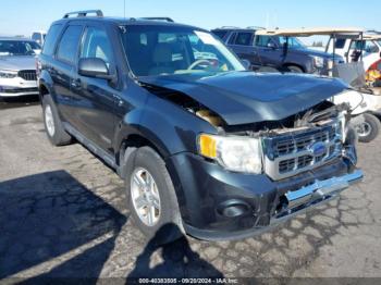  Salvage Ford Escape