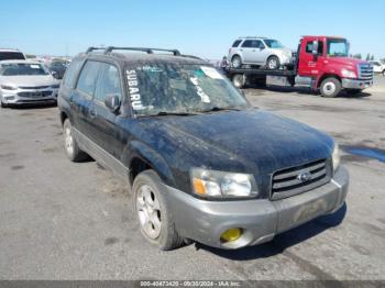  Salvage Subaru Forester