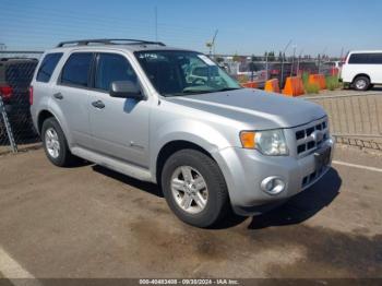  Salvage Ford Escape