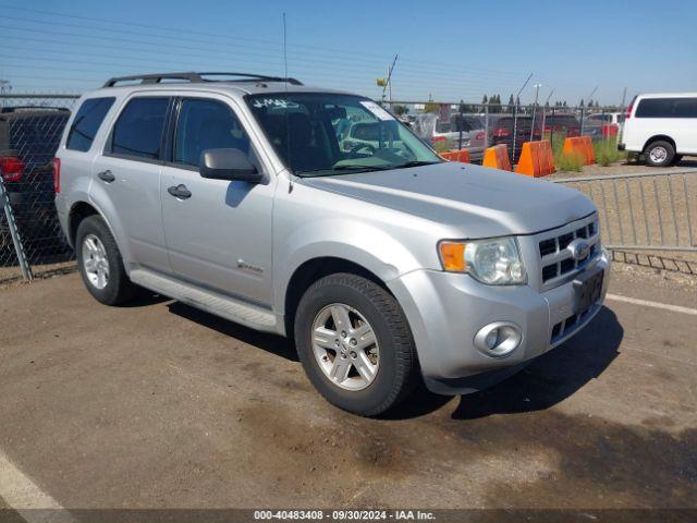  Salvage Ford Escape