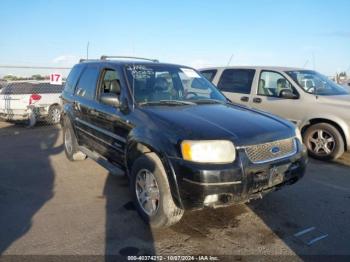  Salvage Ford Escape