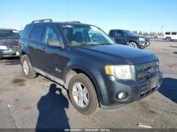  Salvage Ford Escape