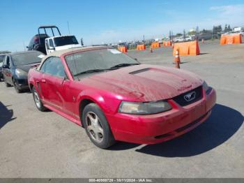  Salvage Ford Mustang