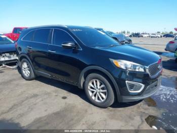  Salvage Kia Sorento