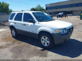  Salvage Ford Escape