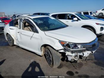  Salvage Honda Accord