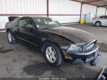  Salvage Ford Mustang