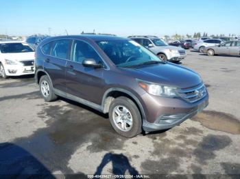  Salvage Honda CR-V