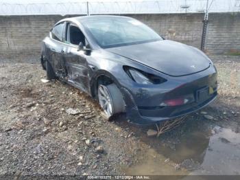  Salvage Tesla Model Y