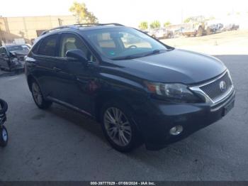  Salvage Lexus RX