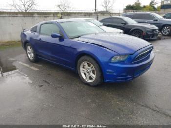  Salvage Ford Mustang