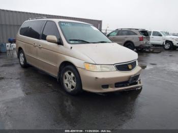  Salvage Honda Odyssey