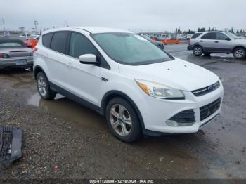  Salvage Ford Escape