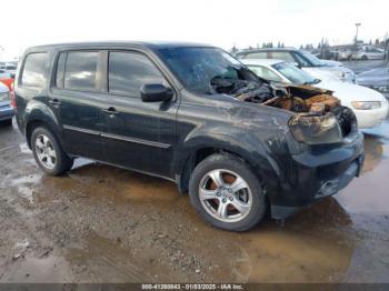  Salvage Honda Pilot