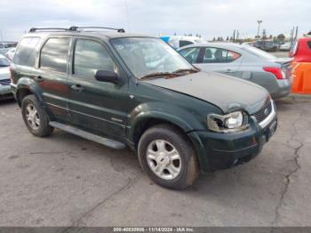  Salvage Ford Escape