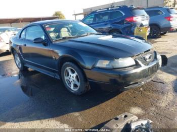  Salvage Ford Mustang