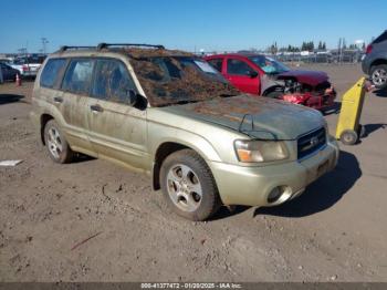  Salvage Subaru Forester