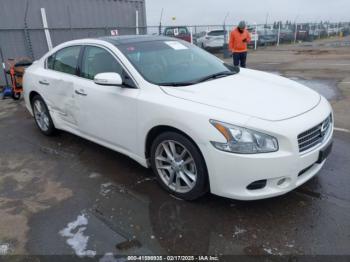  Salvage Nissan Maxima