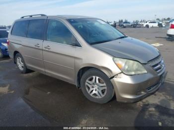  Salvage Honda Odyssey