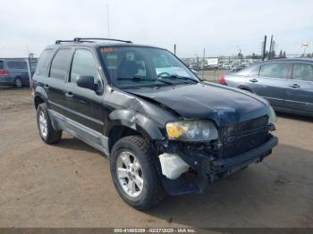  Salvage Ford Escape