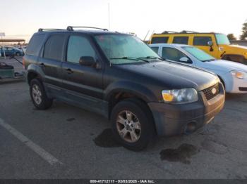  Salvage Ford Escape