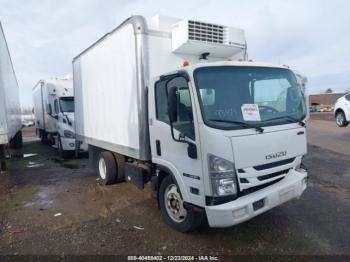  Salvage Isuzu Nrr