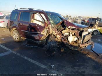  Salvage Honda Pilot