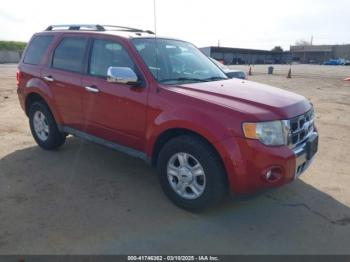  Salvage Ford Escape