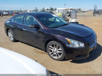  Salvage Nissan Maxima