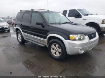  Salvage Ford Escape