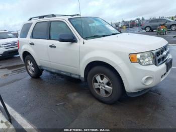  Salvage Ford Escape