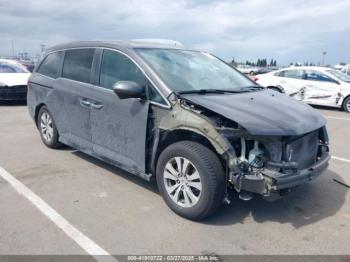  Salvage Honda Odyssey