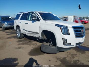  Salvage Cadillac Escalade