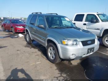  Salvage Ford Escape