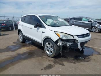  Salvage Ford Escape