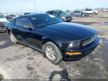  Salvage Ford Mustang