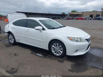  Salvage Lexus Es