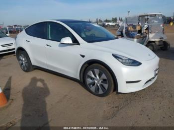  Salvage Tesla Model Y