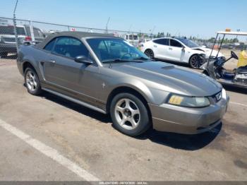  Salvage Ford Mustang