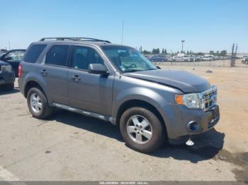  Salvage Ford Escape