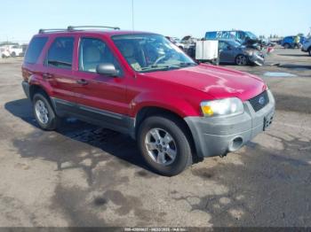  Salvage Ford Escape