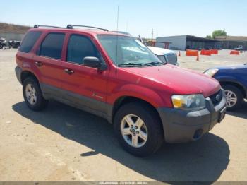  Salvage Ford Escape