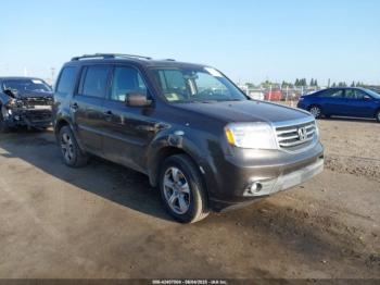  Salvage Honda Pilot