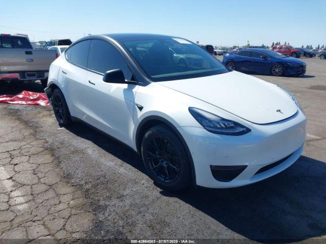  Salvage Tesla Model Y
