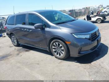  Salvage Honda Odyssey